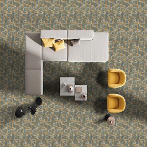 Paragon Vedo Plus