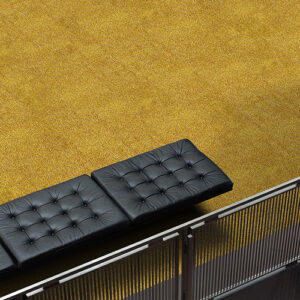 Paragon Royal Shaggy