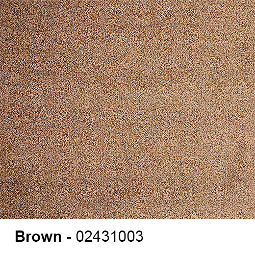 Paragon Royal Shaggy - Image 4